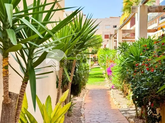 (27) Apartament na sprzedaż w Playa Flamenca, Costa Blanca