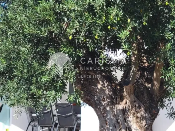 (8) Odremontowana willa z widokiem na morze i Peñon de Ifach w Calpe
