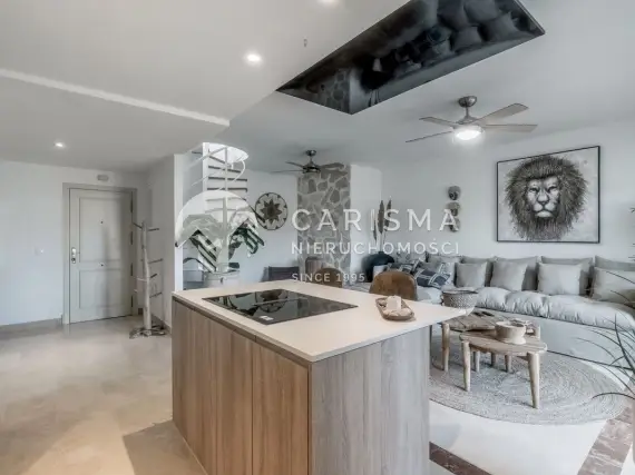 (6) Odnowiony luksusowy penthouse z widokiem na górę La Concha