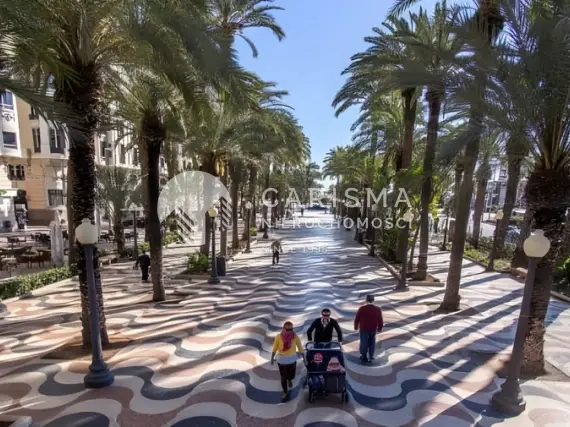 (28) Nowe apartamenty 700 m od plaży La Mata