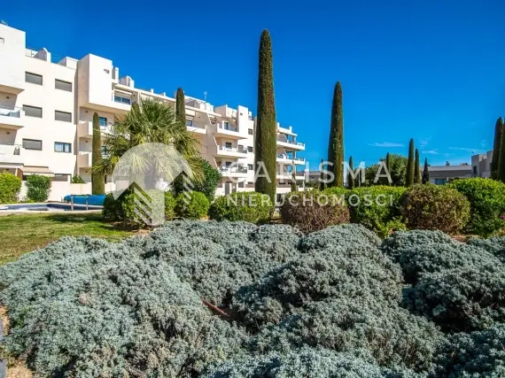 (16) Apartament na parterze z widokiem na południe w Los Dolses, Orihuela Costa