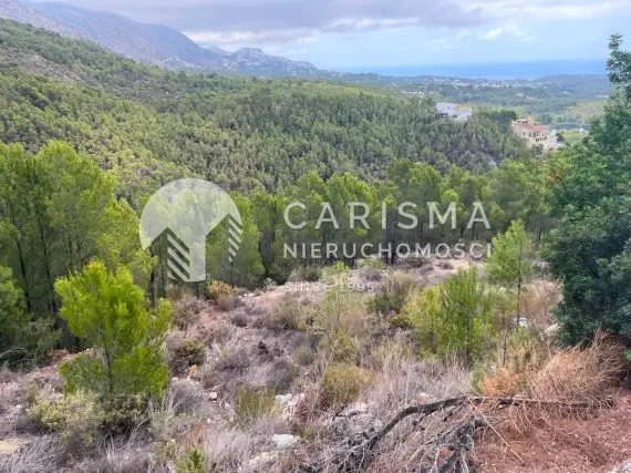 Działka budowlana 985 m² z widokiem w pobliżu Altei, idealna pod willę z basenem (Costa Blanca) 1