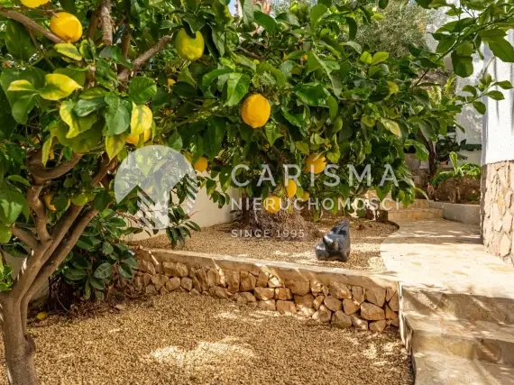 (52) Ekskluzywna willa z widokiem na morze na Costa Blanca z tarasem, basenem i apartamentem