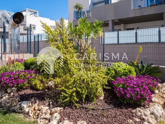 (24) Atrakcyjny apartament z dachowym tarasem w Aquas Nuevas/Torevieja